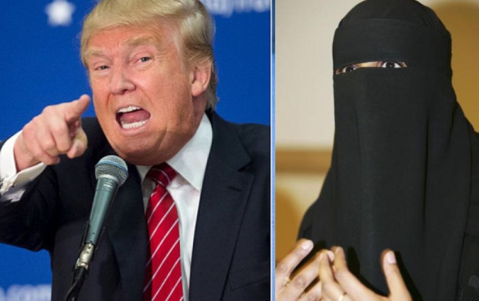 Toan canh lenh cam nhap canh gay chan dong cua Trump hinh anh