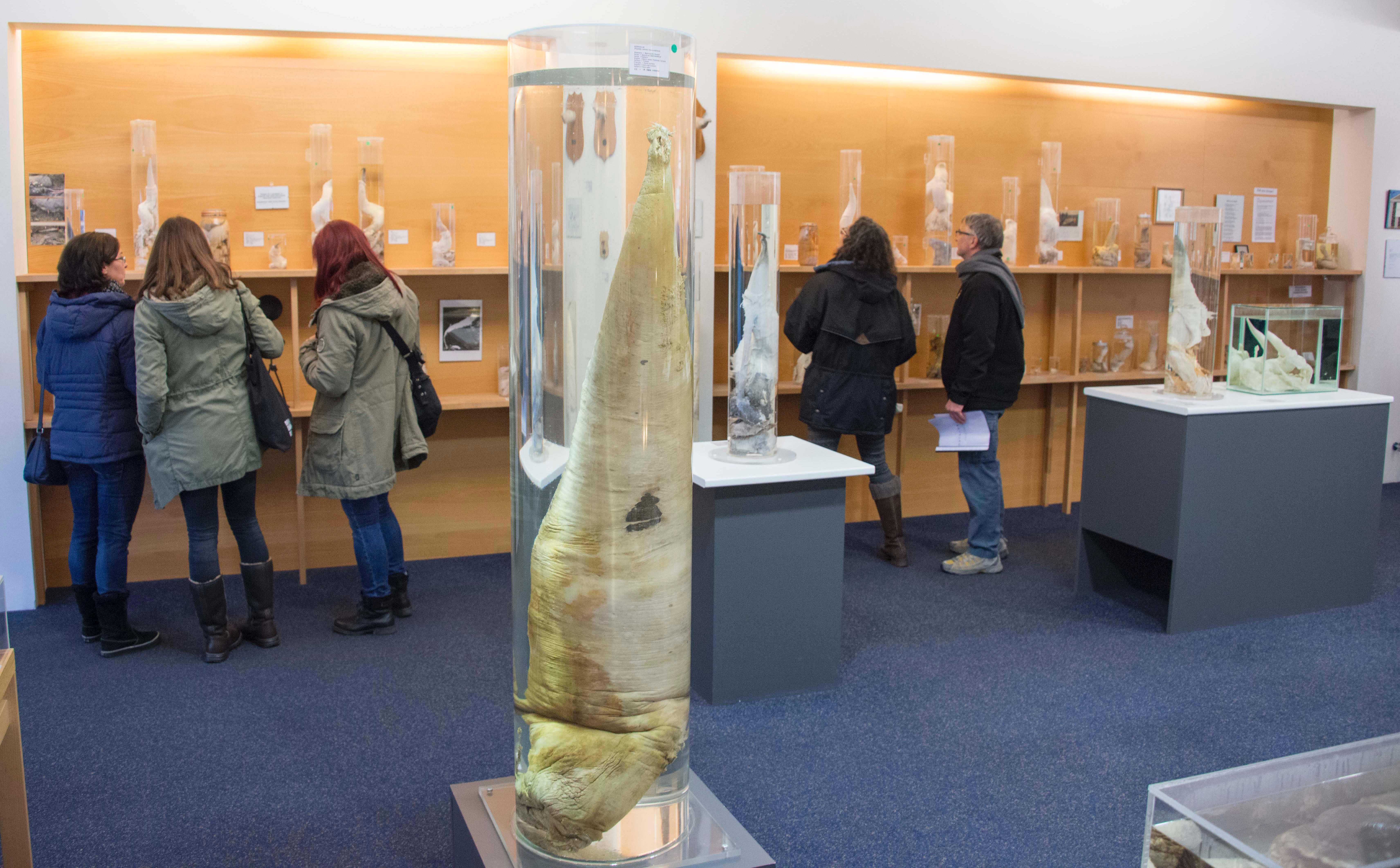 bao tang ky la nhat the gioi anh 3