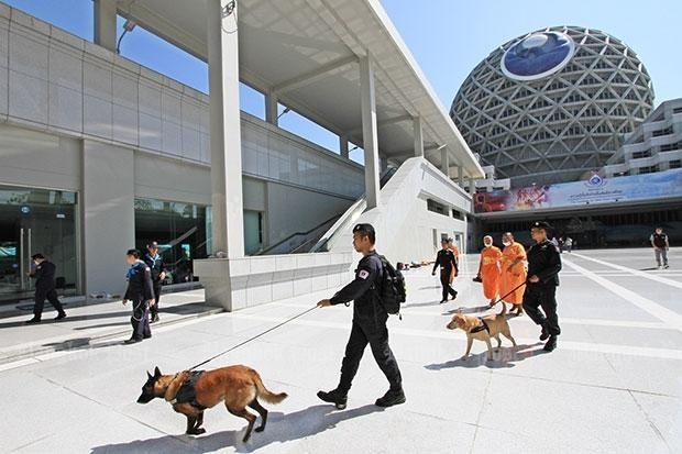 Tung tich su tru tri vuong be boi o Thai van la an so hinh anh