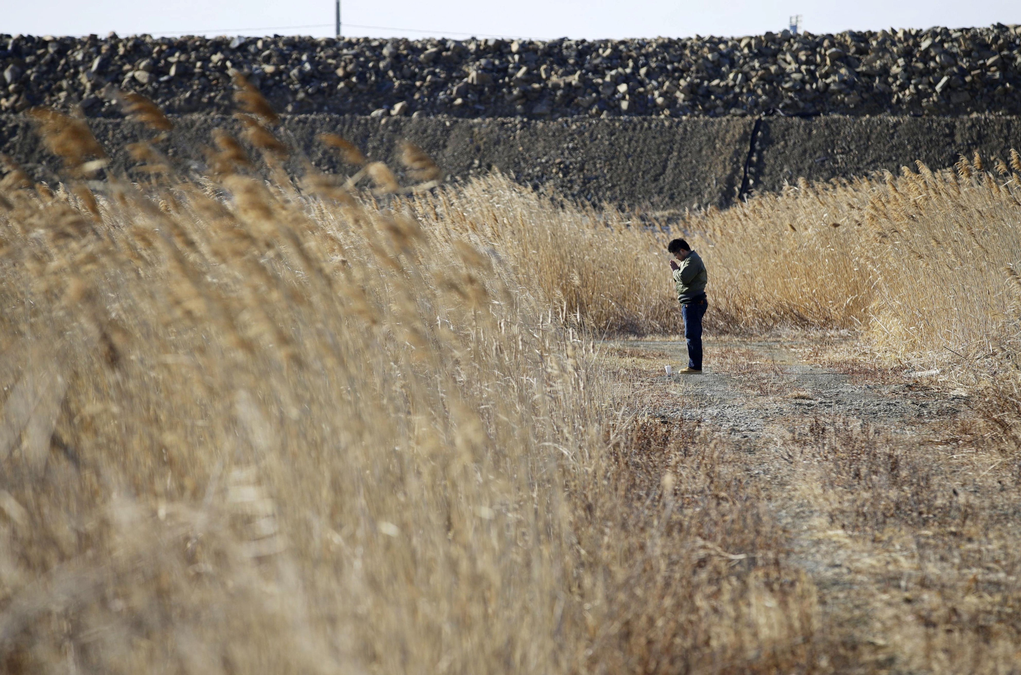 tham hoa dong dat song than Nhat Ban 2011 anh 6