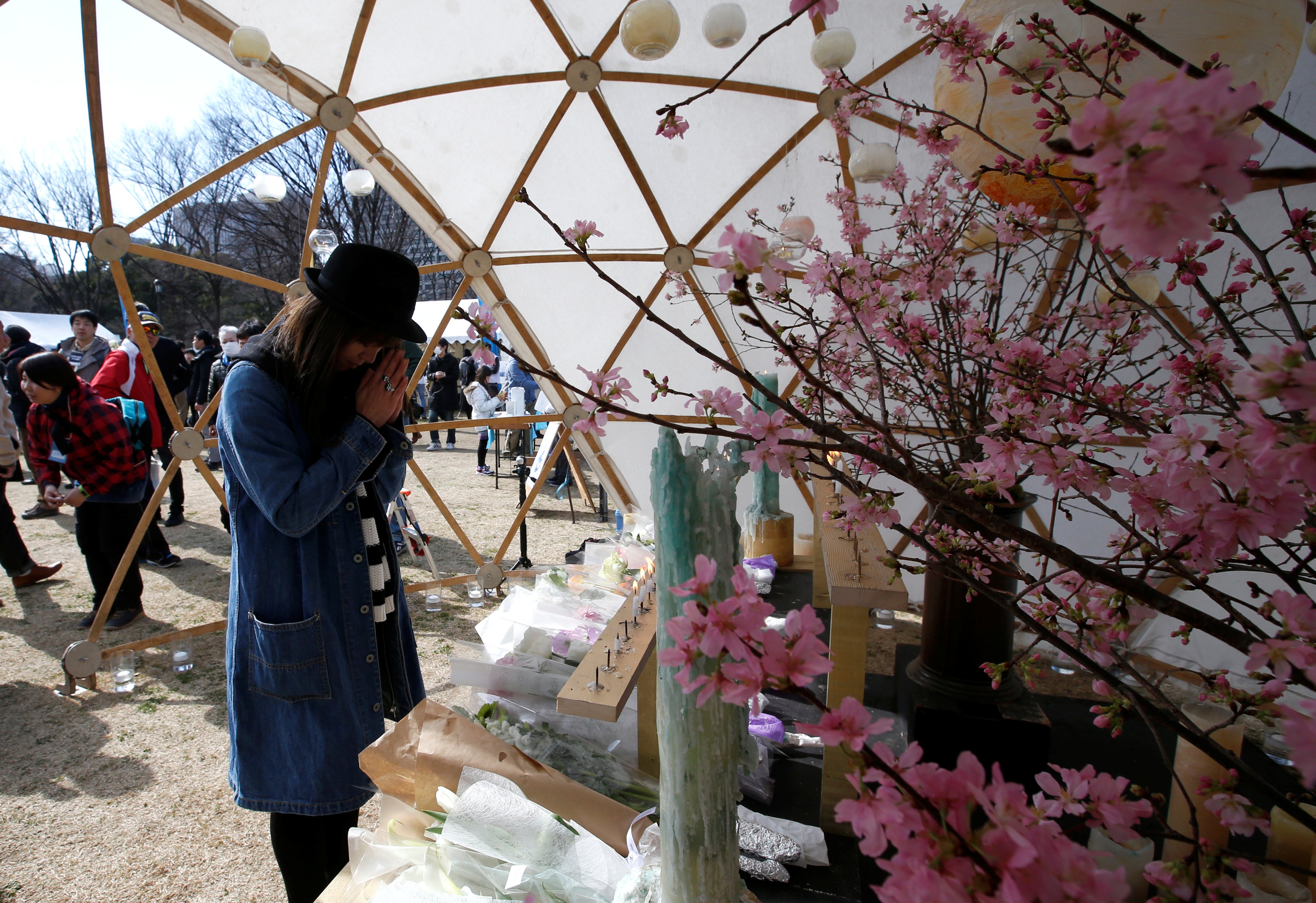 tham hoa dong dat song than Nhat Ban 2011 anh 10