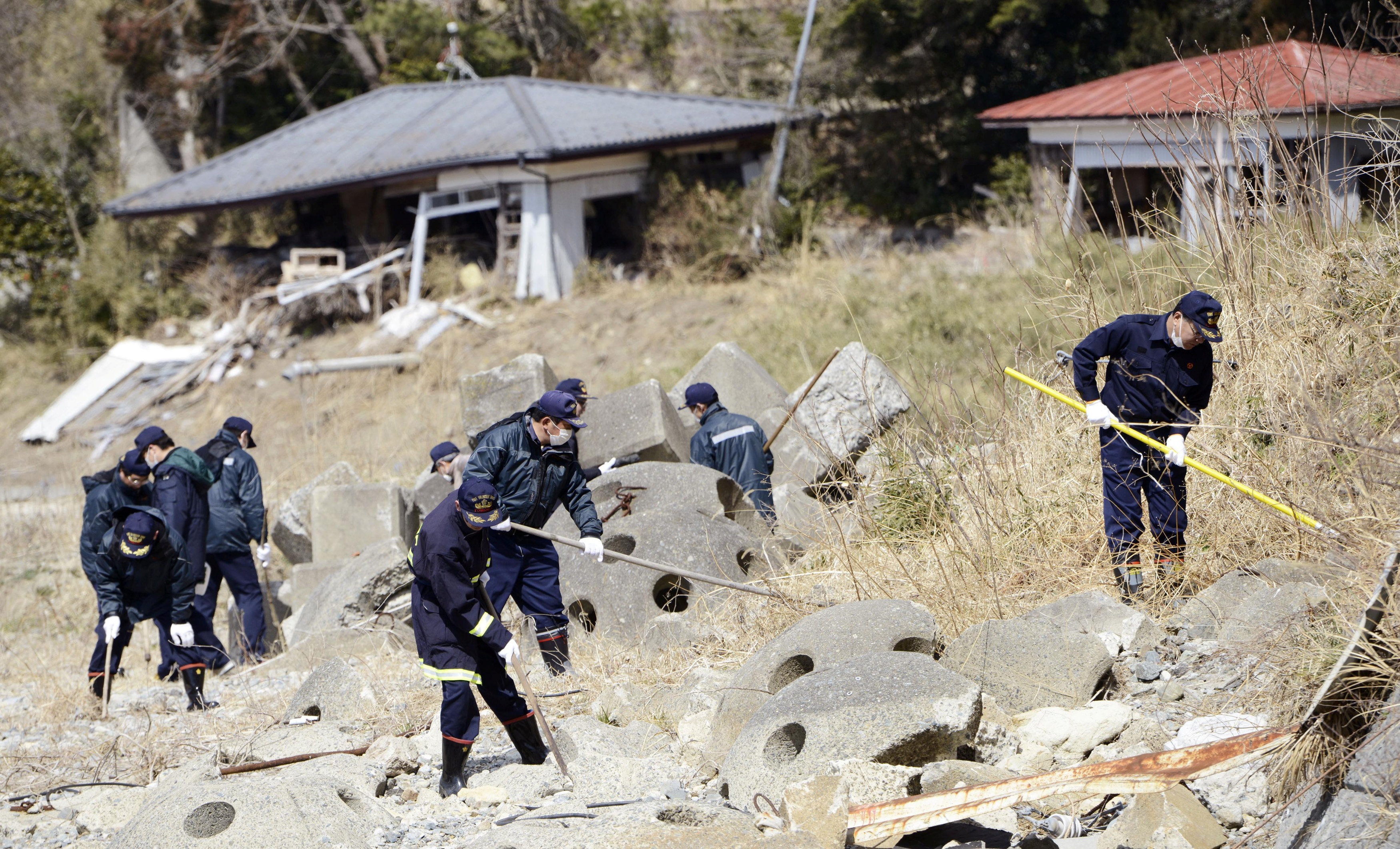 tham hoa dong dat song than Nhat Ban 2011 anh 12