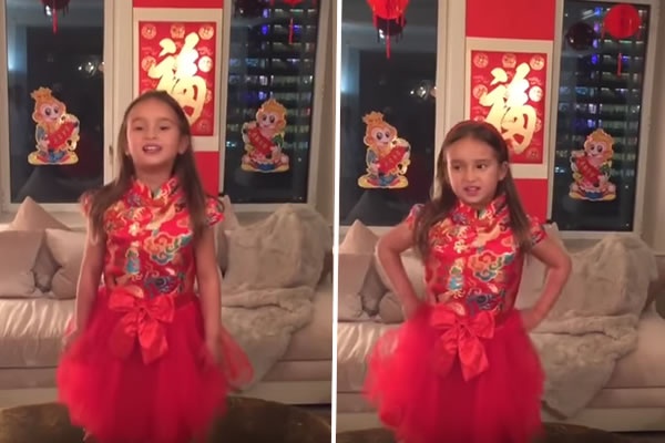 Tập Cận Bình gặp Donald Trump ảnh 4 Tap Can Binh gap Donald Trump anh 4