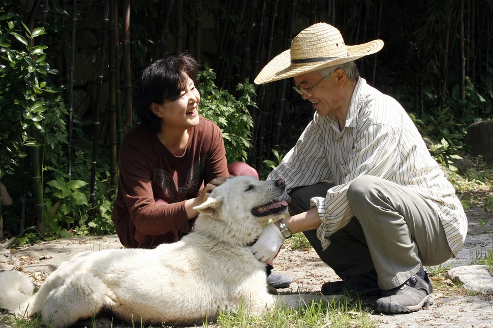tan tong thong Han Quoc anh 10
