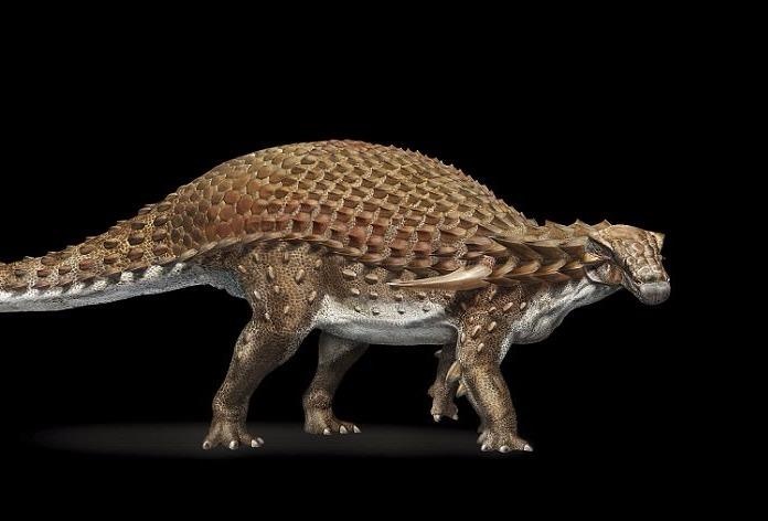 Hoa thach khung long 'hiem nhu trung so' o Canada hinh anh