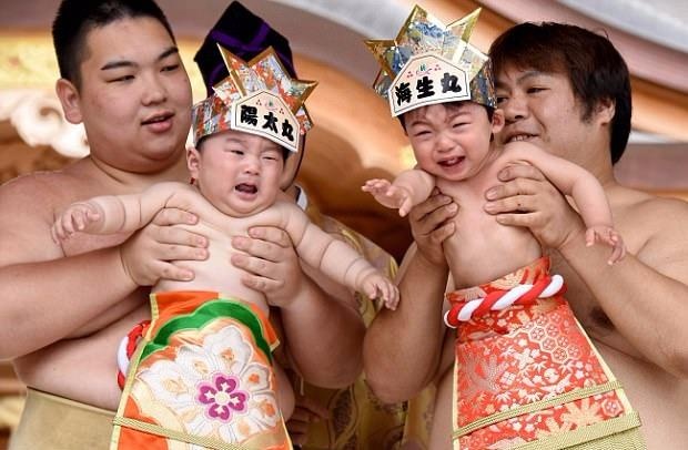 Cuoc thi vo si sumo 'du' tre khoc tai Nhat hinh anh