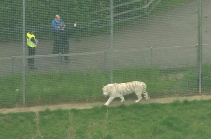 Ho trang can chet nguoi o vuon thu Anh hinh anh