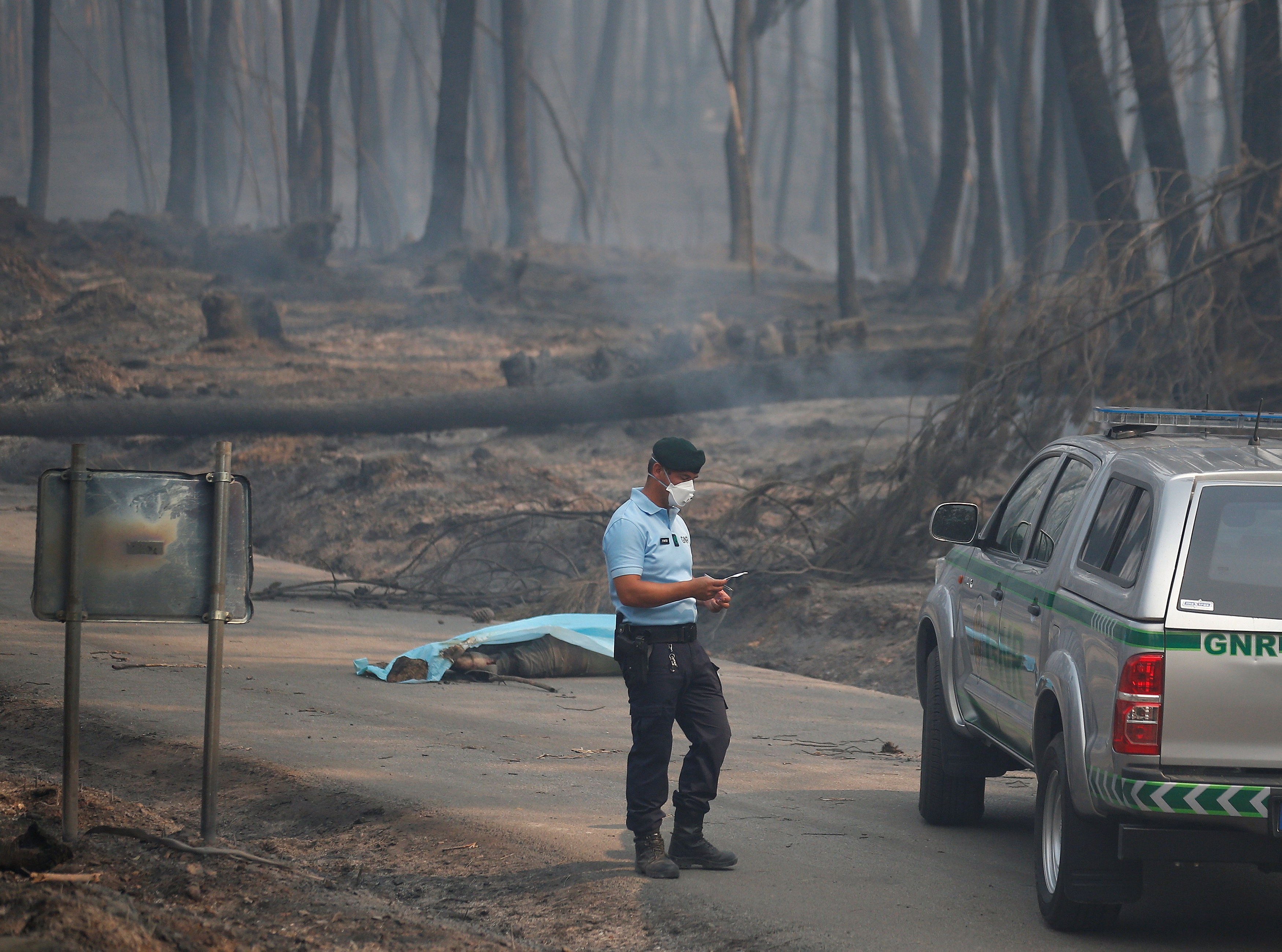 chay rung o Bo Dao Nha anh 1