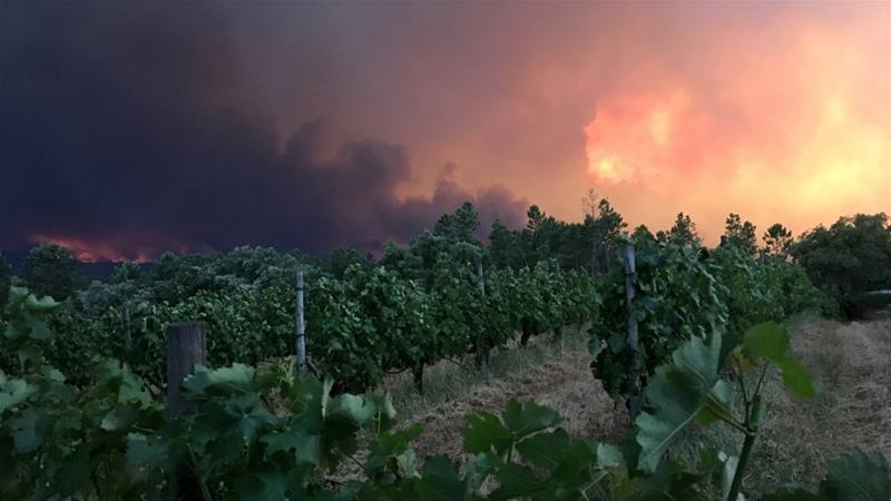 chay rung o Bo Dao Nha anh 1