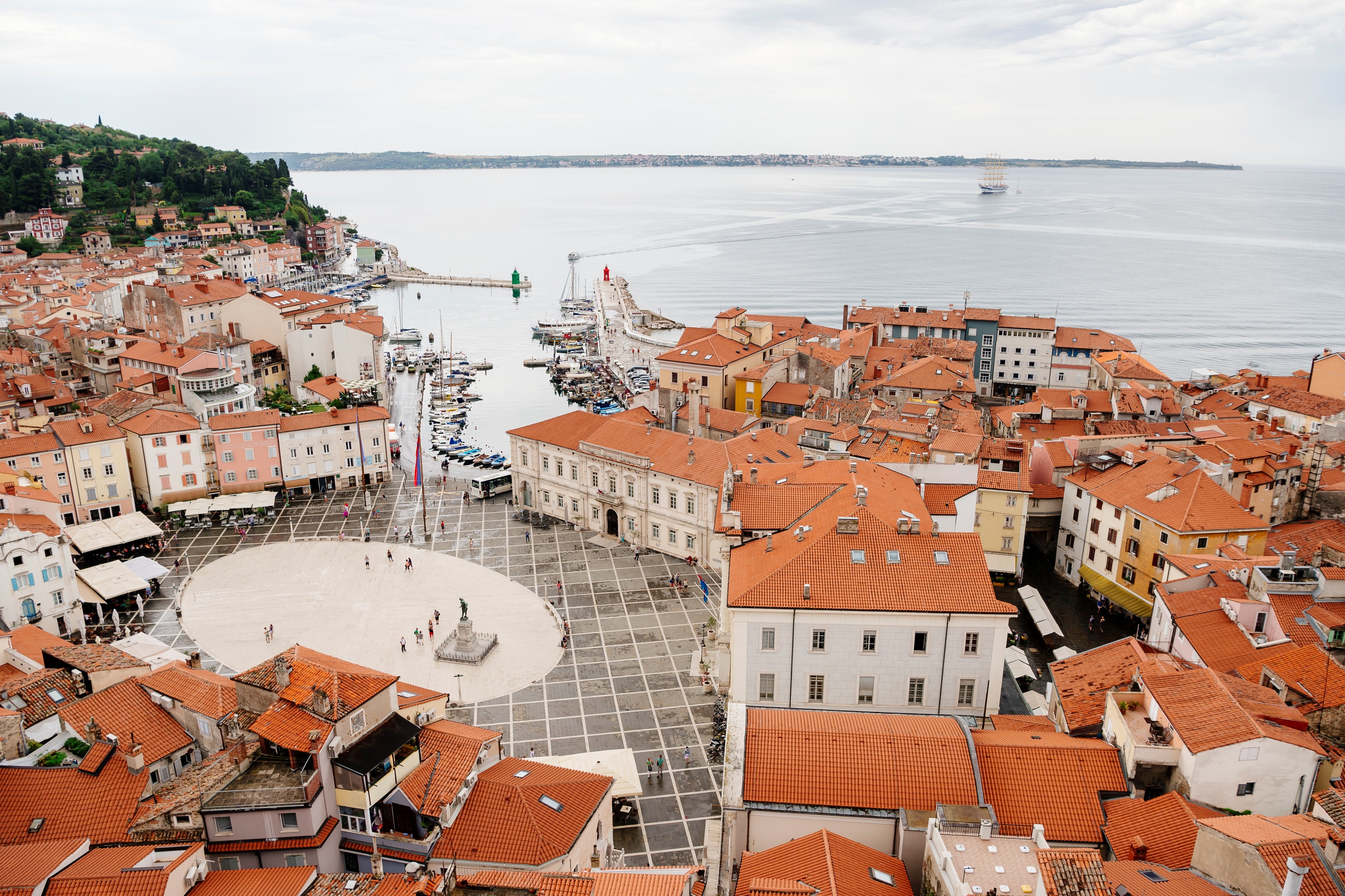 Vinh nho chau Au day song vi tranh chap Croatia - Slovenia hinh anh