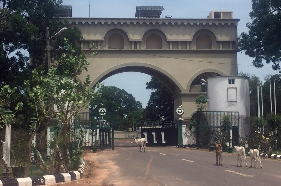 tổng thống tỷ năm Gambia ảnh 1 tong thong ty nam Gambia anh 1