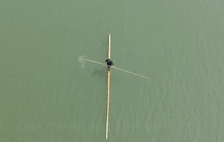 Vuot song bang 'thuyen' lam tu mot cay tre o Trung Quoc hinh anh