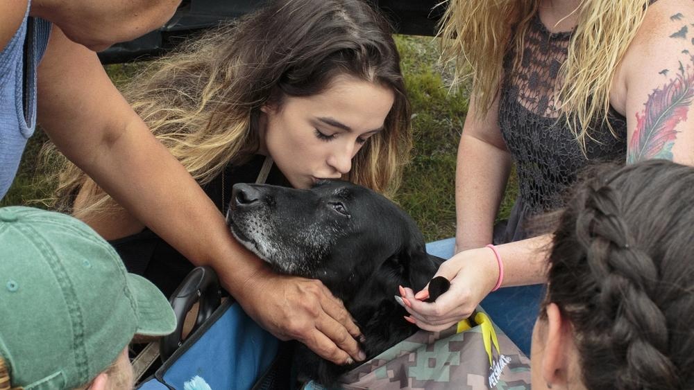 cho bi ung thu cua quan doi My anh 7