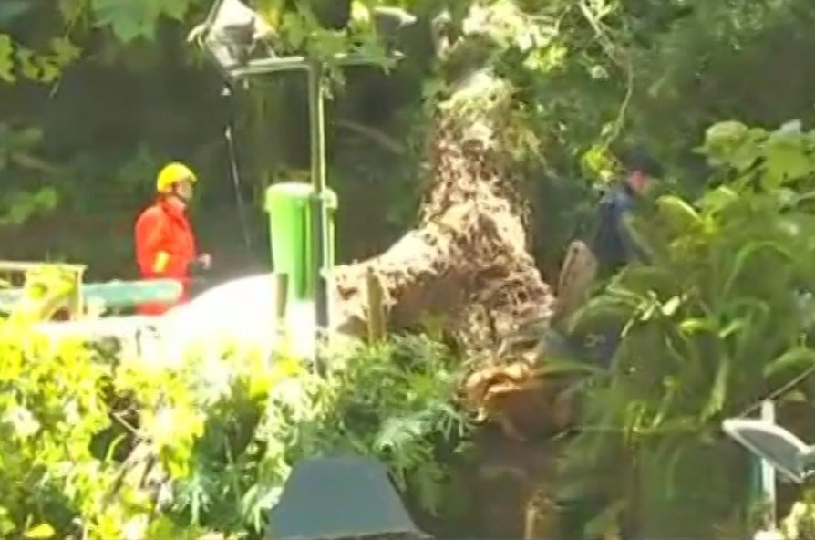 Cay nga de chet 11 nguoi tai le hoi ton giao o Bo Dao Nha hinh anh