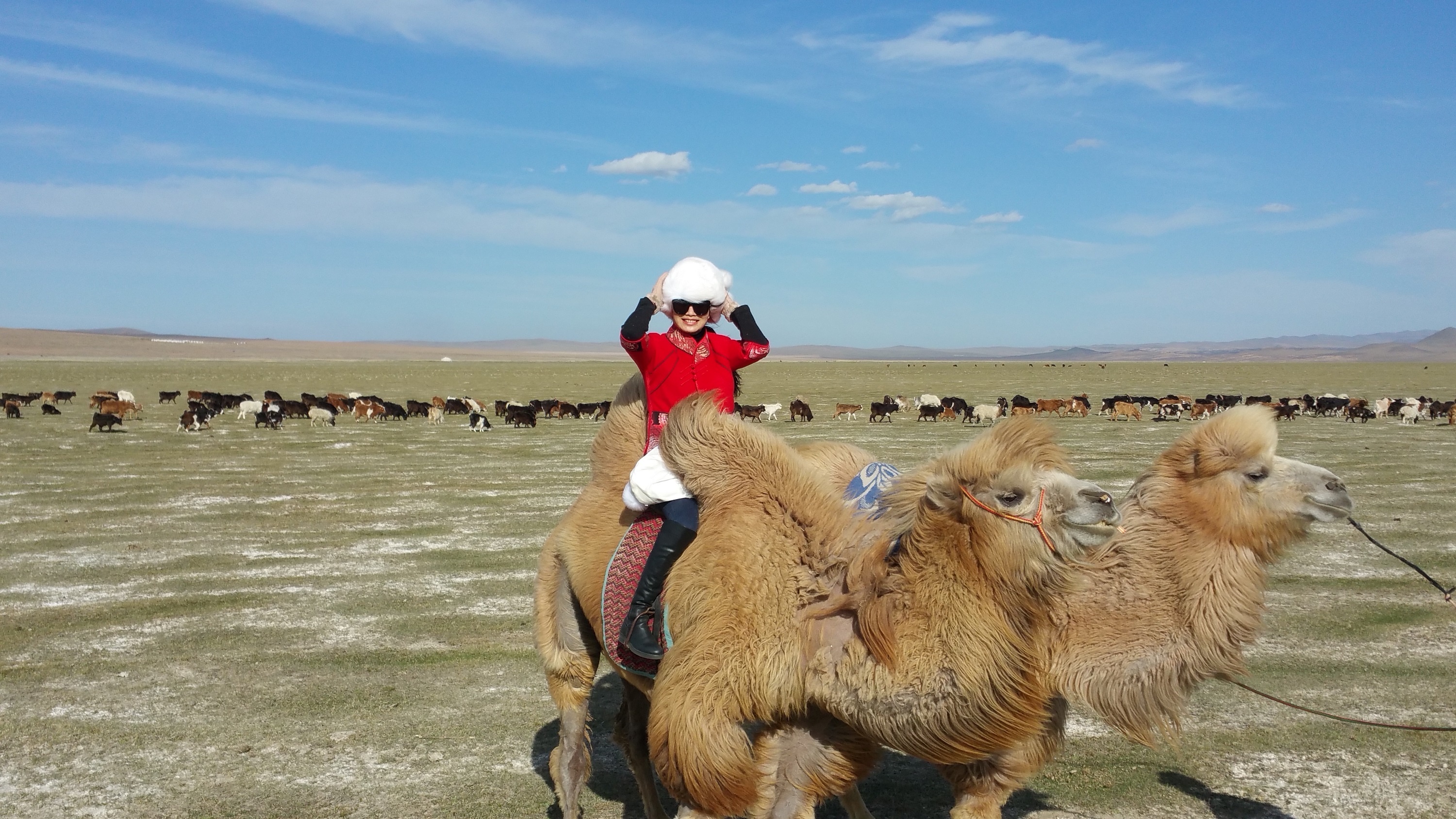 cuoc song nguoi Viet o Mong Co anh 2