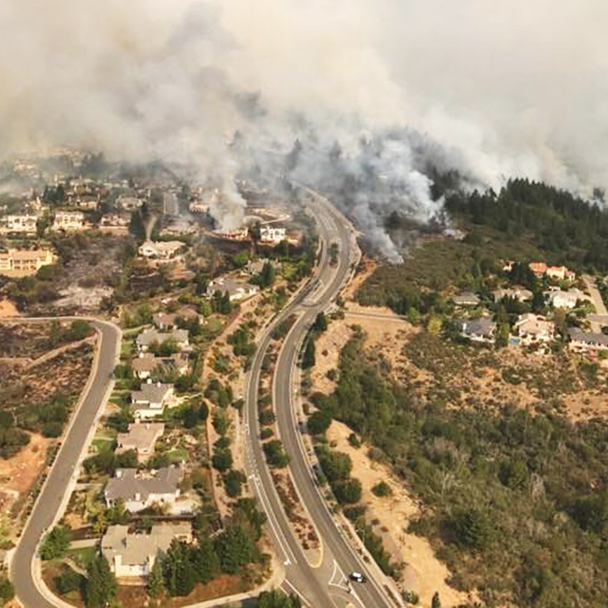 chay rung o California anh 4