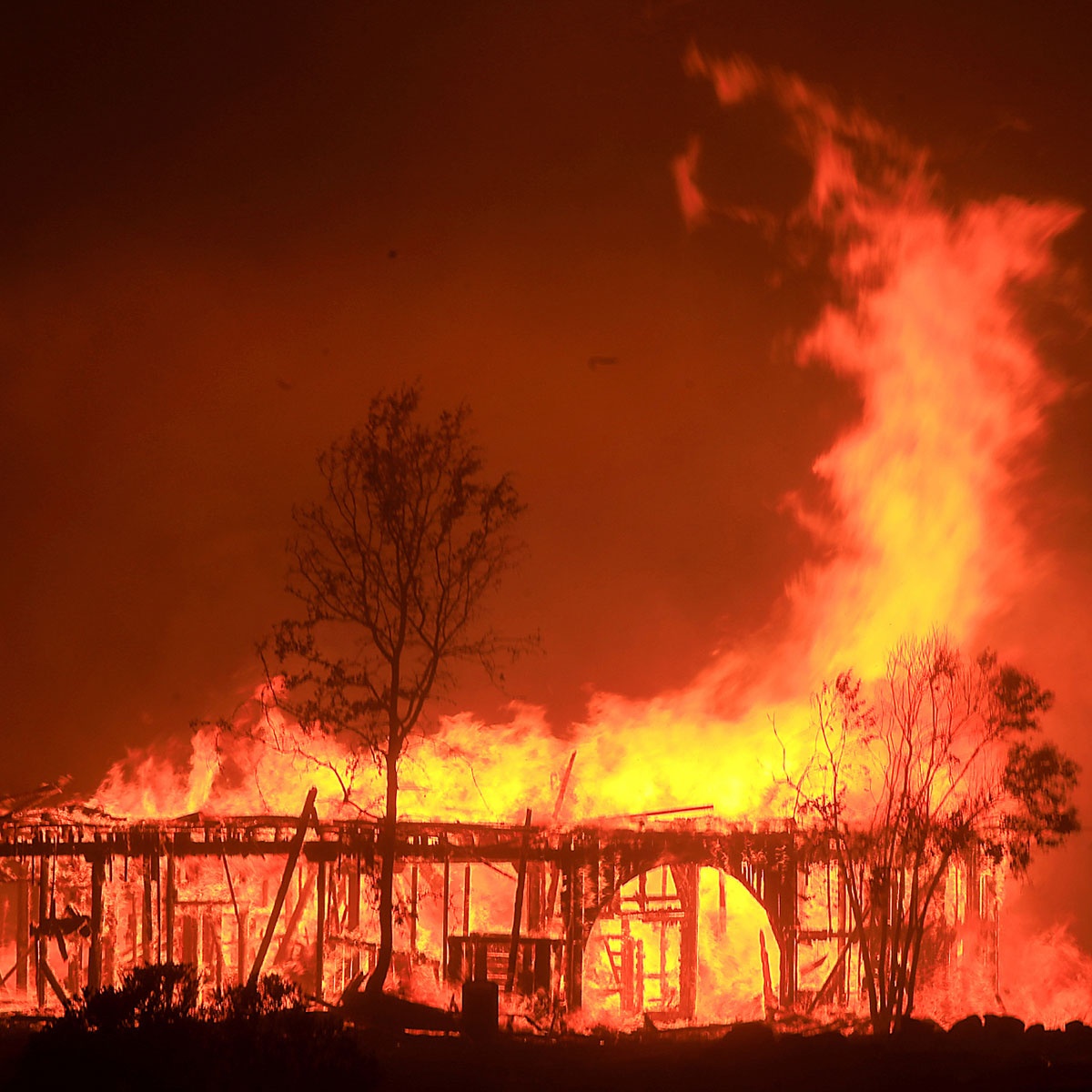 chay rung o California anh 6