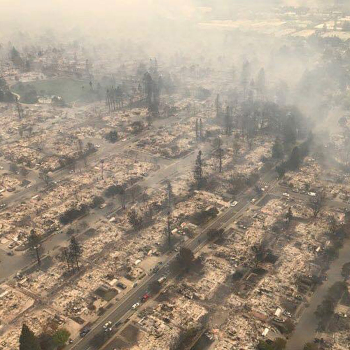 chay rung o California anh 2