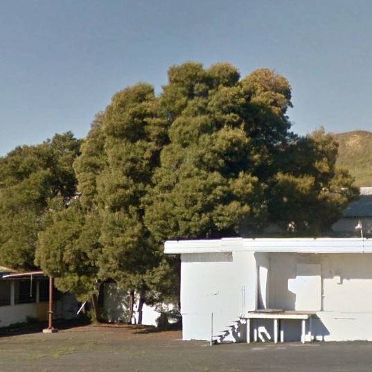 chay rung o California anh 7