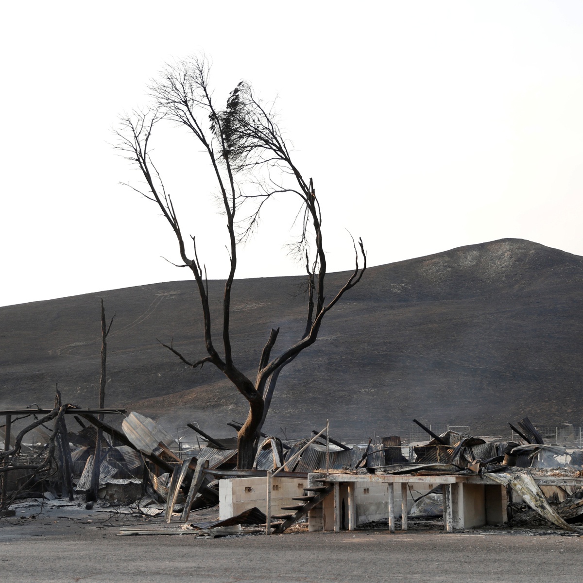 chay rung o California anh 8