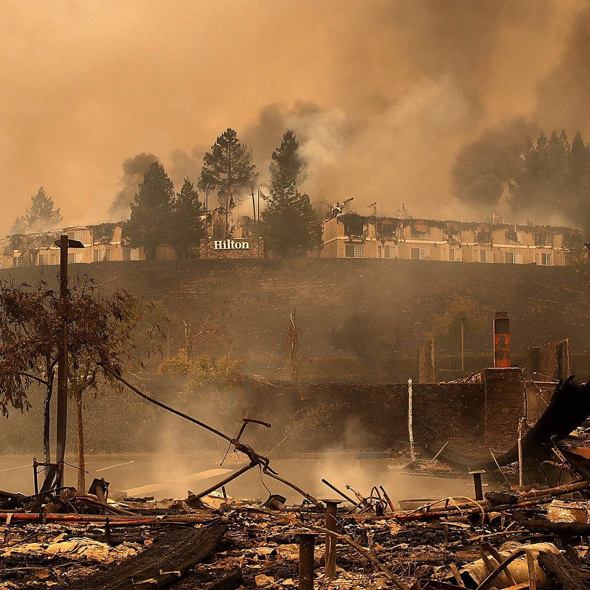 chay rung o California anh 10