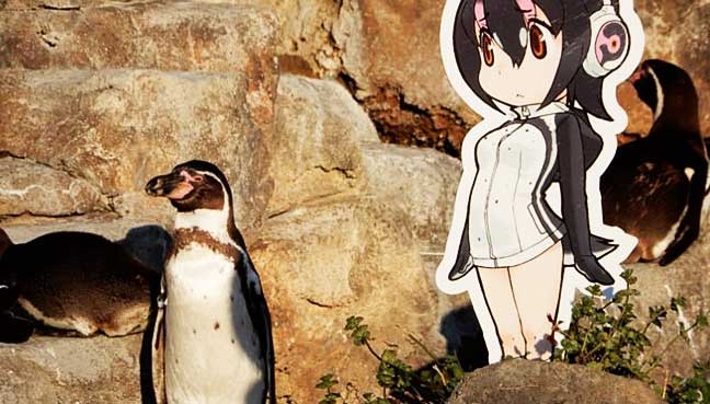 Chim canh cut 'phai long' nhan vat hoat hinh o Nhat qua doi hinh anh