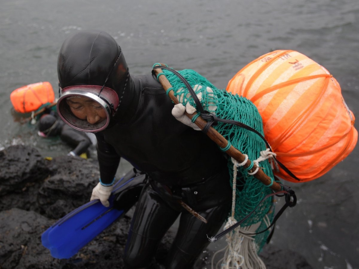 tinh tu tri Jeju anh 5