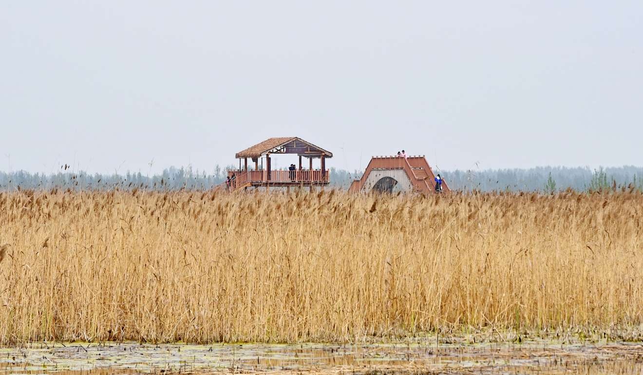 đặc khu kinh tế Trung Quốc ảnh 3 dac khu kinh te Trung Quoc anh 3