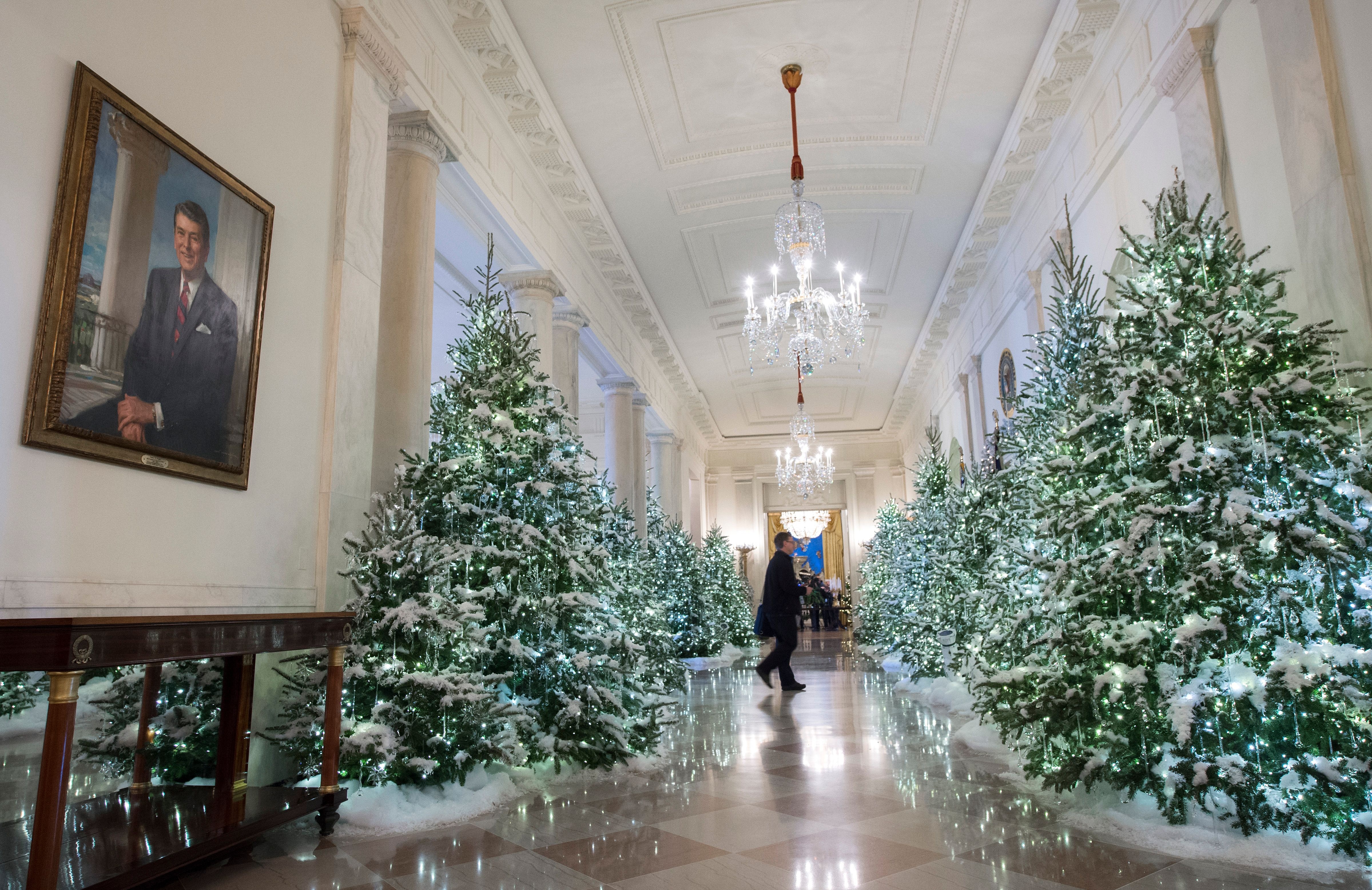 de nhat phu nhan My trang tri giang sinh anh 4