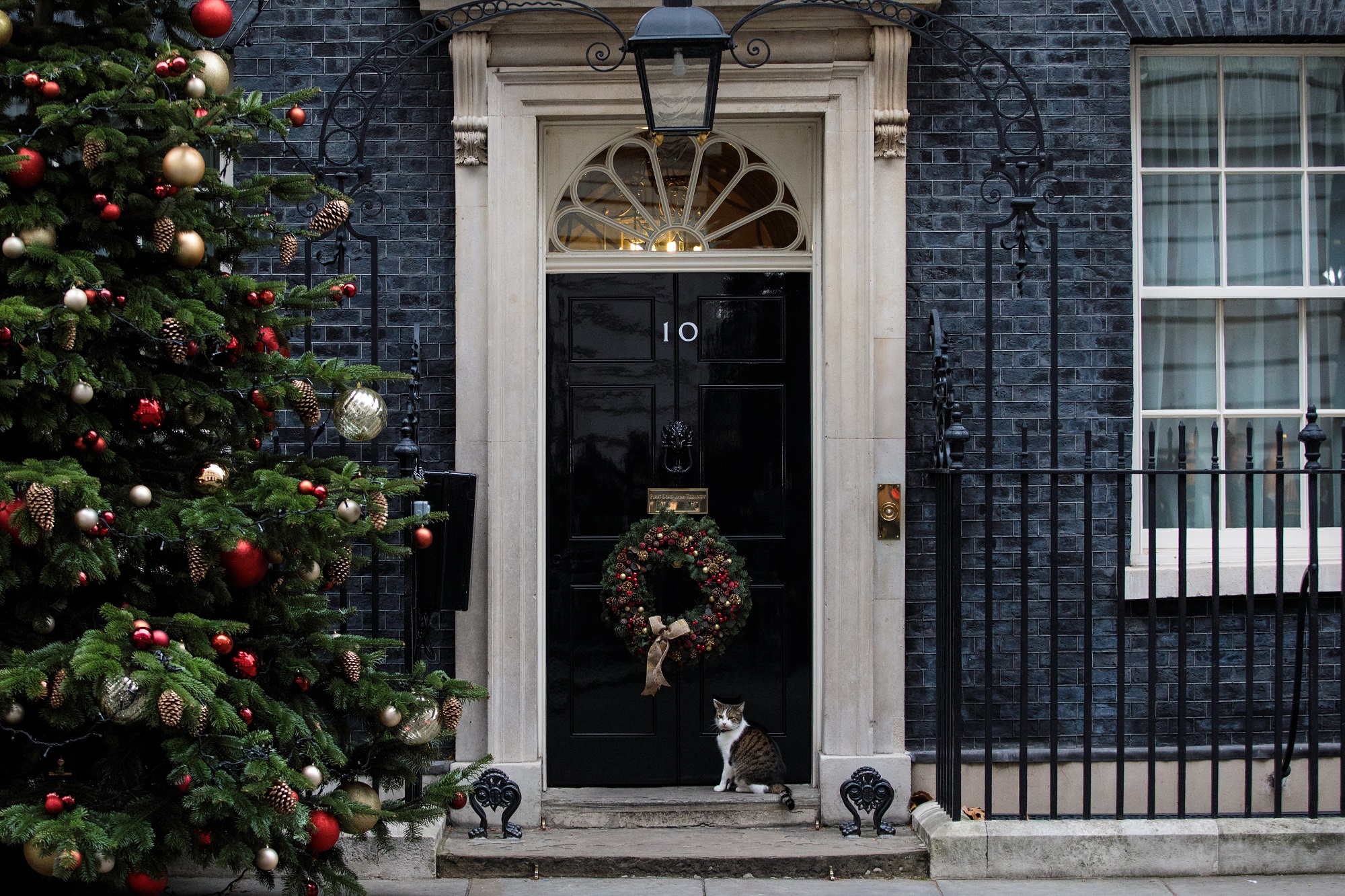 Anh pha am muu am sat thu tuong anh 2