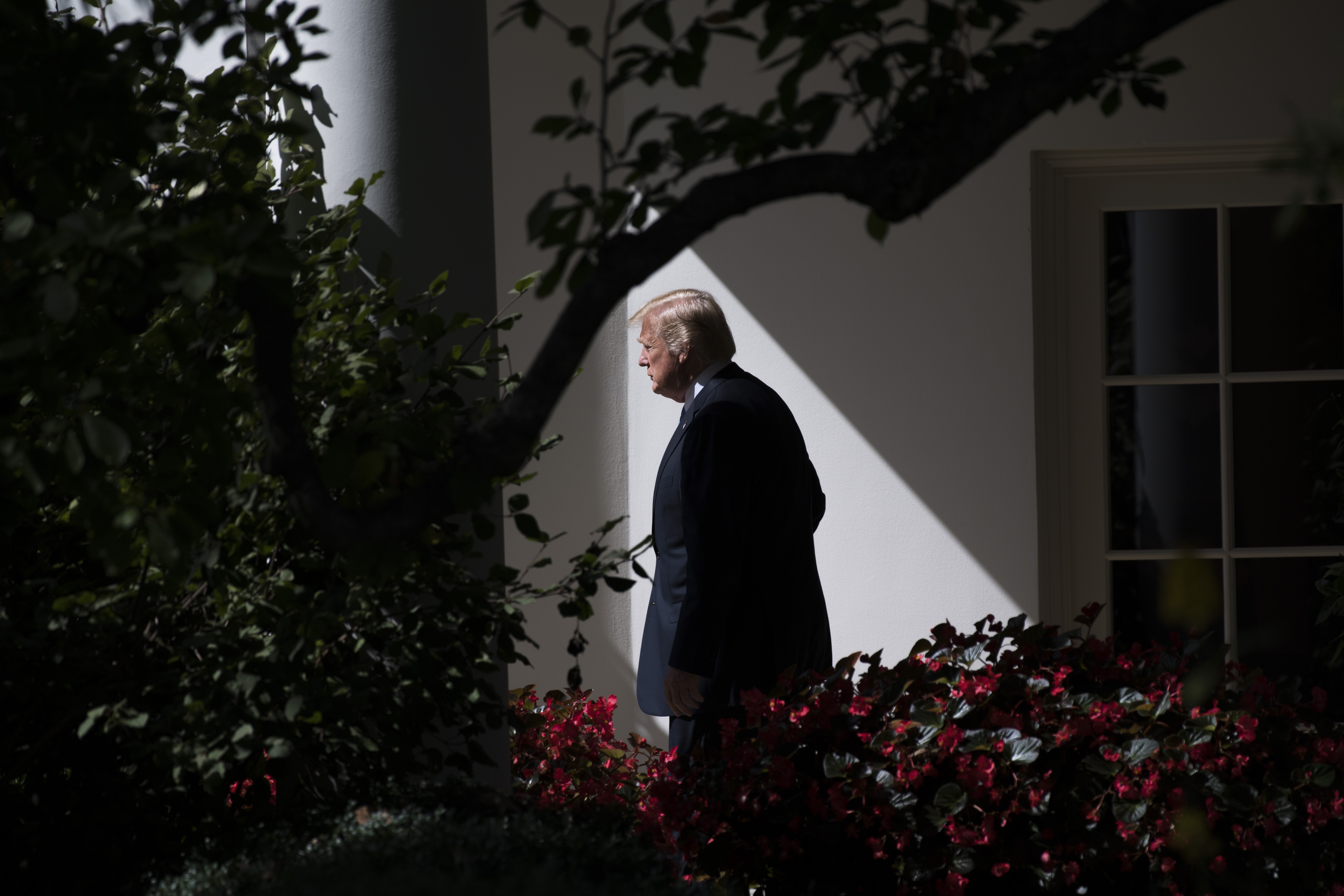 một năm nhậm chức của trump ảnh 4 mot nam nham chuc cua trump anh 4