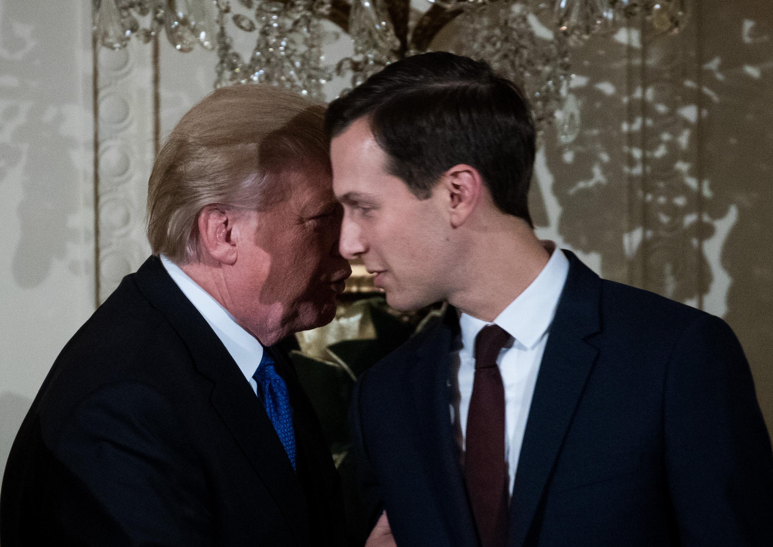 con re tong thong trump anh 13