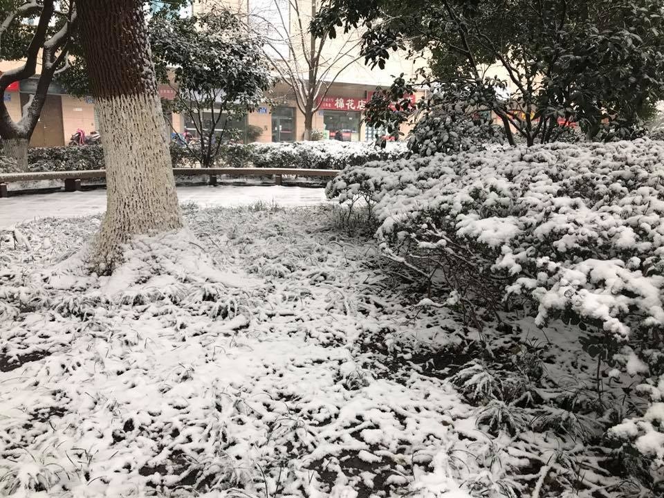 tuyet roi o thuong chau anh 5