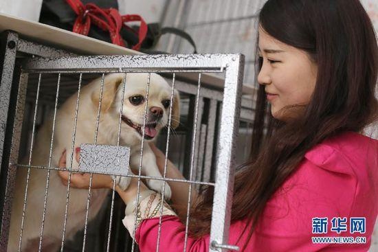 cham soc thu cung dip tet o trung quoc anh 1