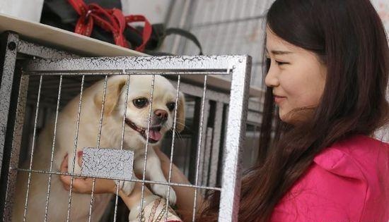 Cham thu cung dip Tet o TQ: 7 ngay kiem tien bang ca thang hinh anh