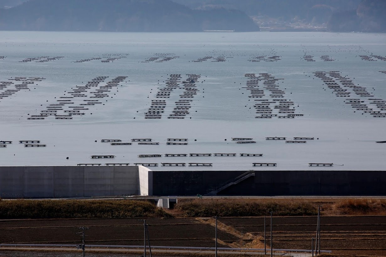 dong dat song than nhat ban 2011 anh 4