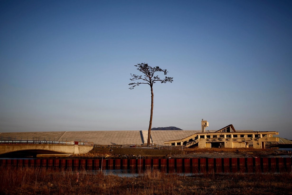 dong dat song than nhat ban 2011 anh 12