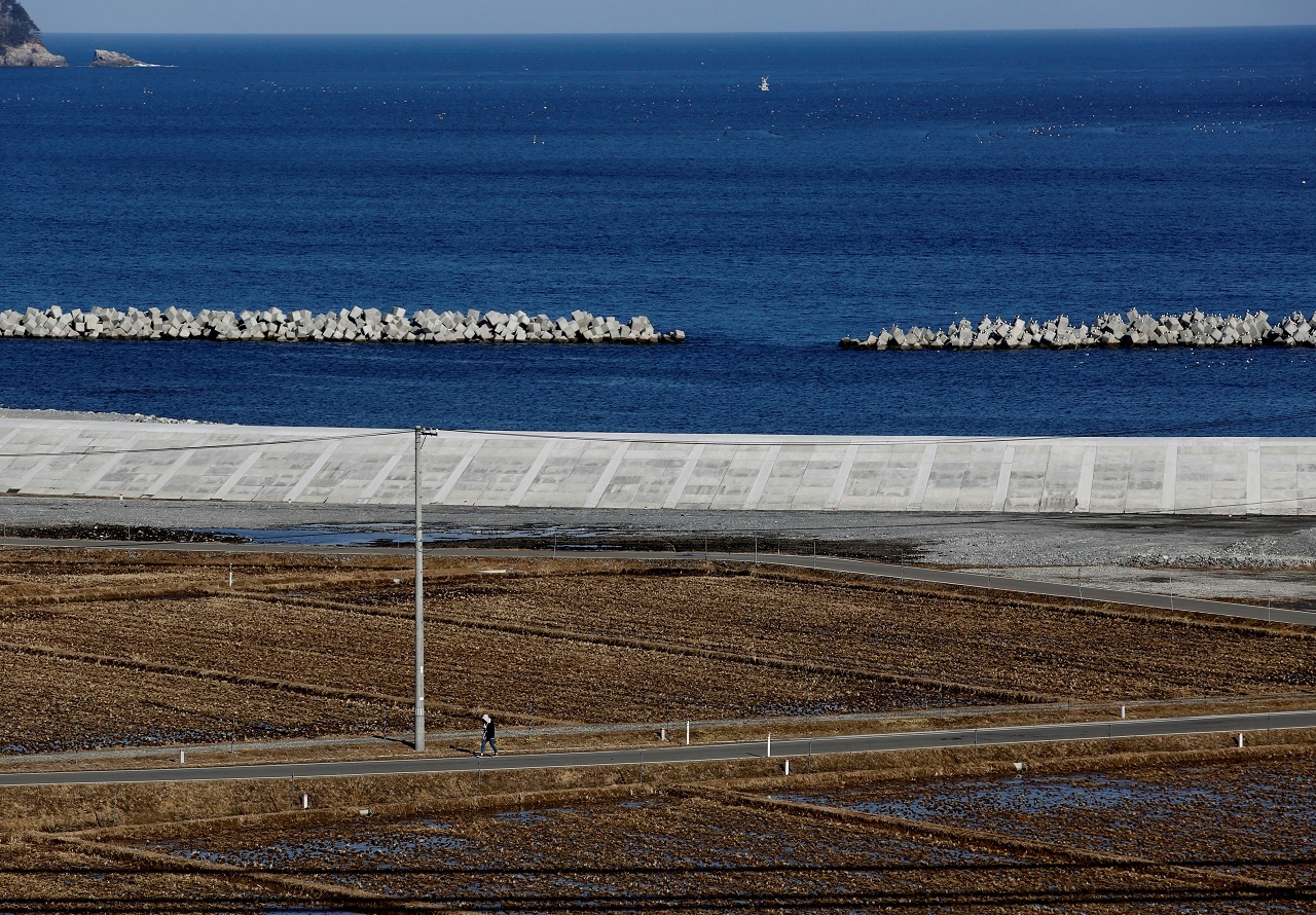 dong dat song than nhat ban 2011 anh 6