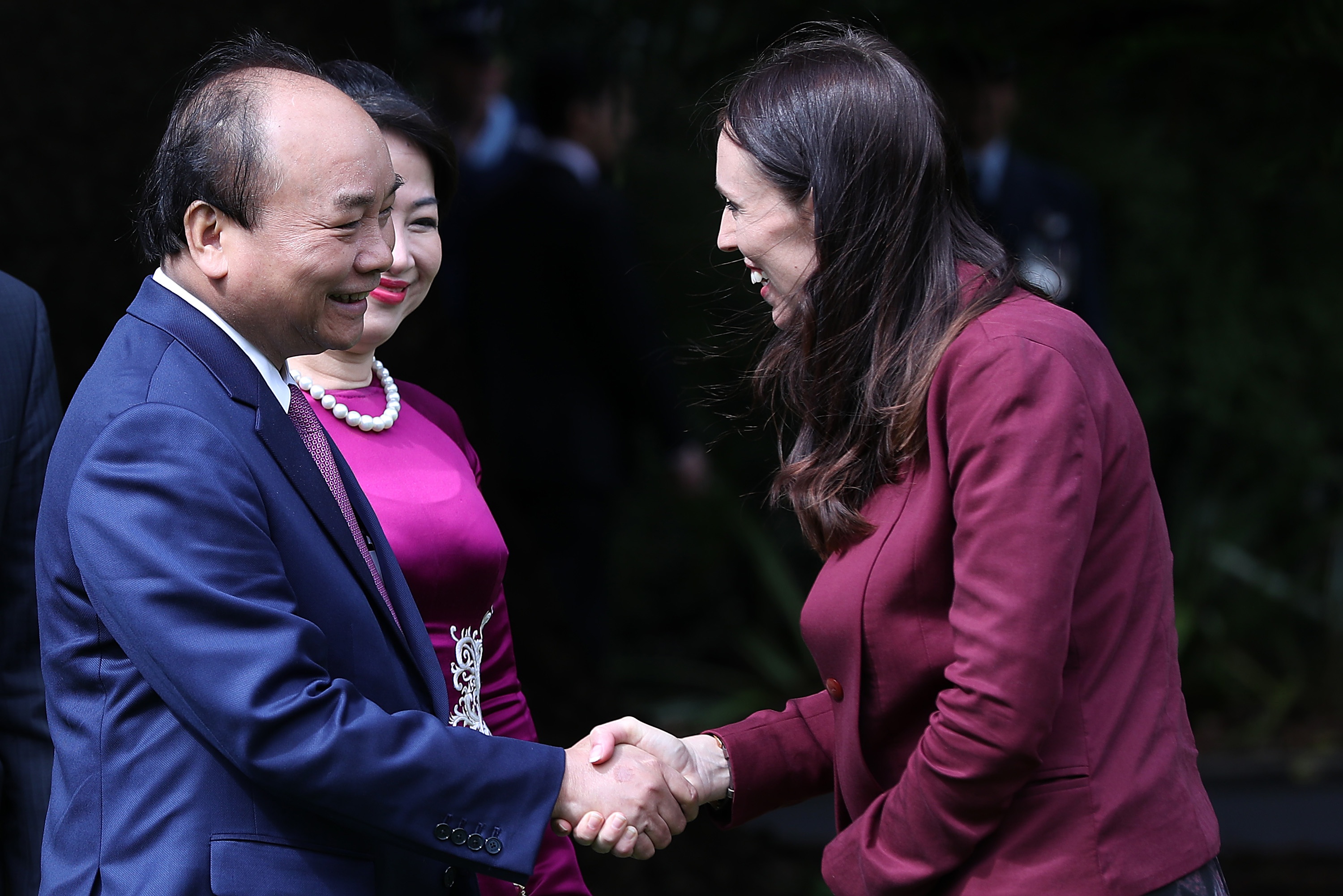 Viet Nam - New Zealand ra tuyen bo chung, huong toi doi tac chien luoc hinh anh