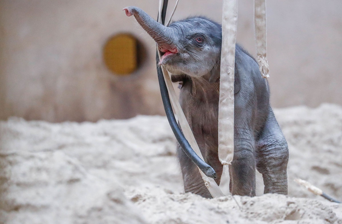 nghia dia xe dap trung quoc anh 15