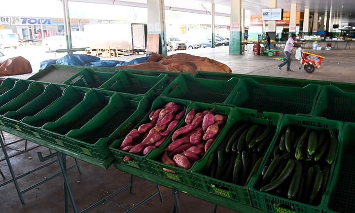 tai xe xe tai bieu tinh brazil anh 11