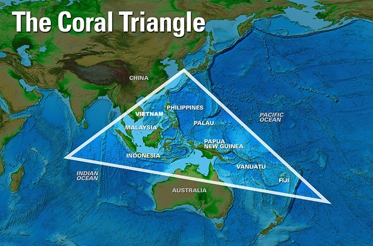 quan ly nghe ca o bien dong anh 6