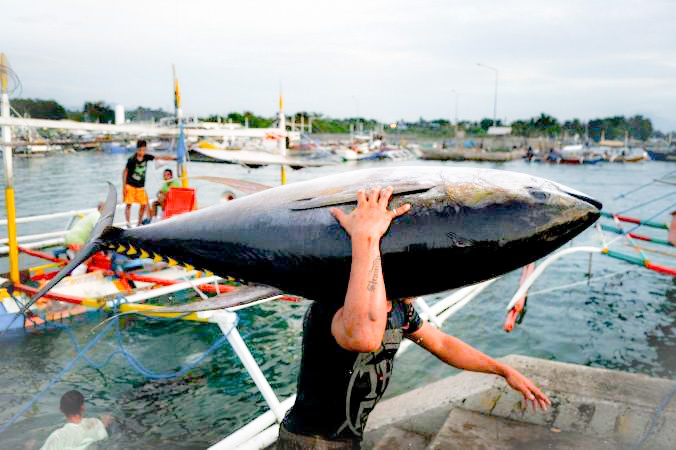 Nghe ca Bien Dong: Thach thuc khong kem tranh chap chu quyen hinh anh