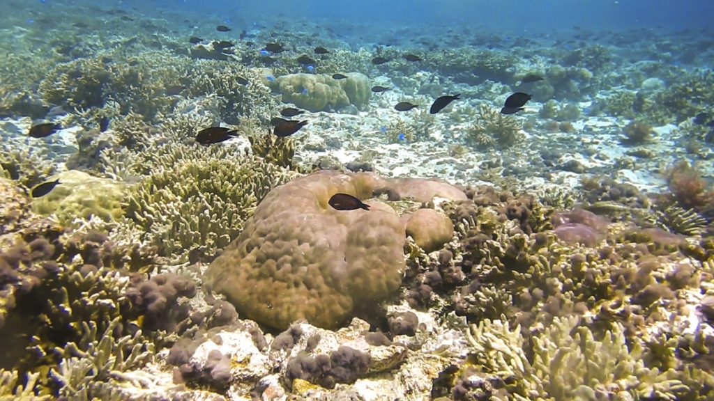 quan ly nghe ca o bien dong anh 2