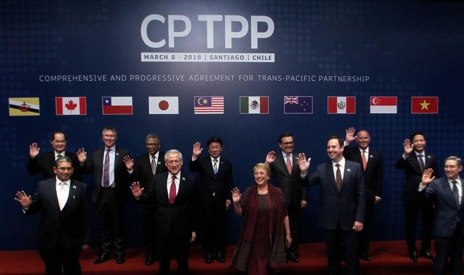 Singapore phe chuan hiep dinh TPP-11 hinh anh