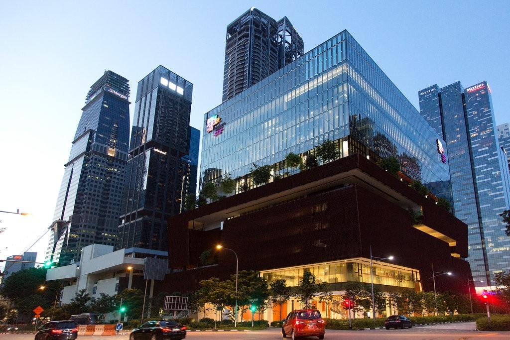 nguoi hoa o singapore anh 5