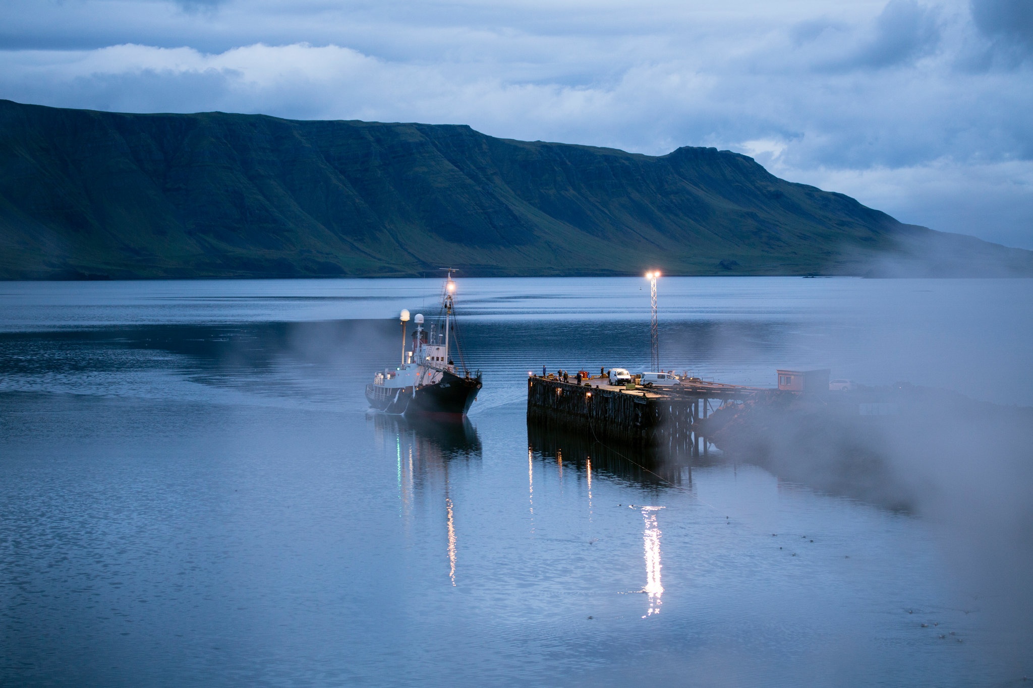 san bat ca voi o iceland anh 4