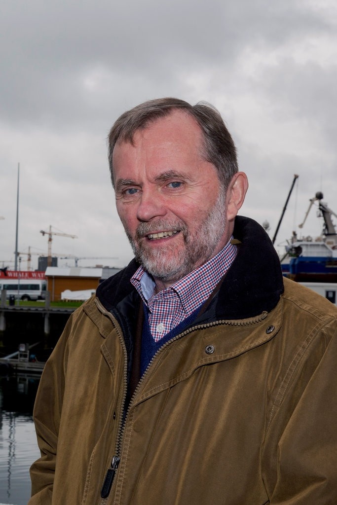 san bat ca voi o iceland anh 2