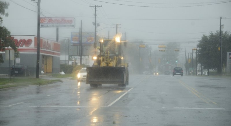 bao florence do bo my anh 14