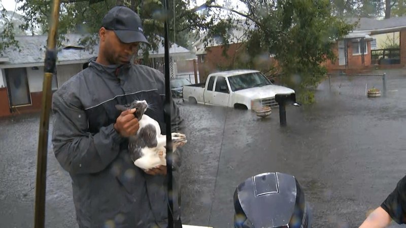 bao florence do bo my anh 12